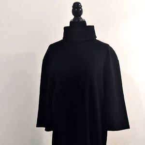 Turtleneck Shirtdress (Zara)